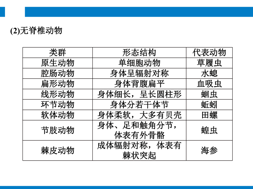 2024浙江省中考科学复习 第1讲　生物的分类（课件 54张PPT）