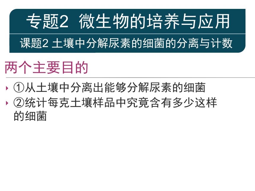 人教版选修1高三生物《专题2课题2土壤中分解尿素的细菌的分离与计数》（共79张PPT）