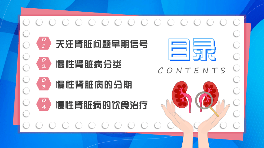 健康教育主题班会 5.23世界肾脏日介绍 课件(共24张PPT)