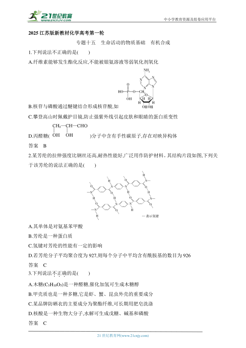 2025江苏版新教材化学高考第一轮基础练习--专题十五　生命活动的物质基础 有机合成　拓展训练（含答案）