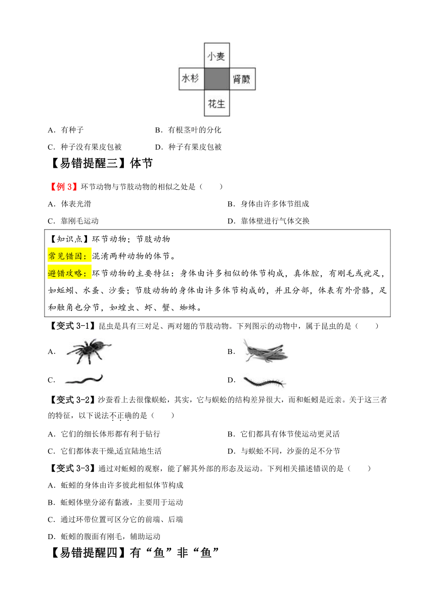 易错点09 生物的相关类群-备战2024年中考生物易错题（含解析）