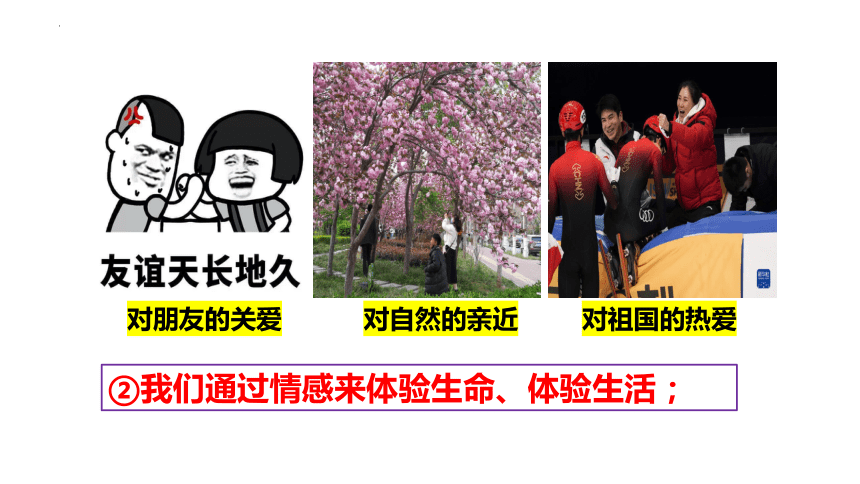 （核心素养目标）5.1 我们的情感世界  课件(共21张PPT)-2023-2024学年统编版道德与法治七年级下册