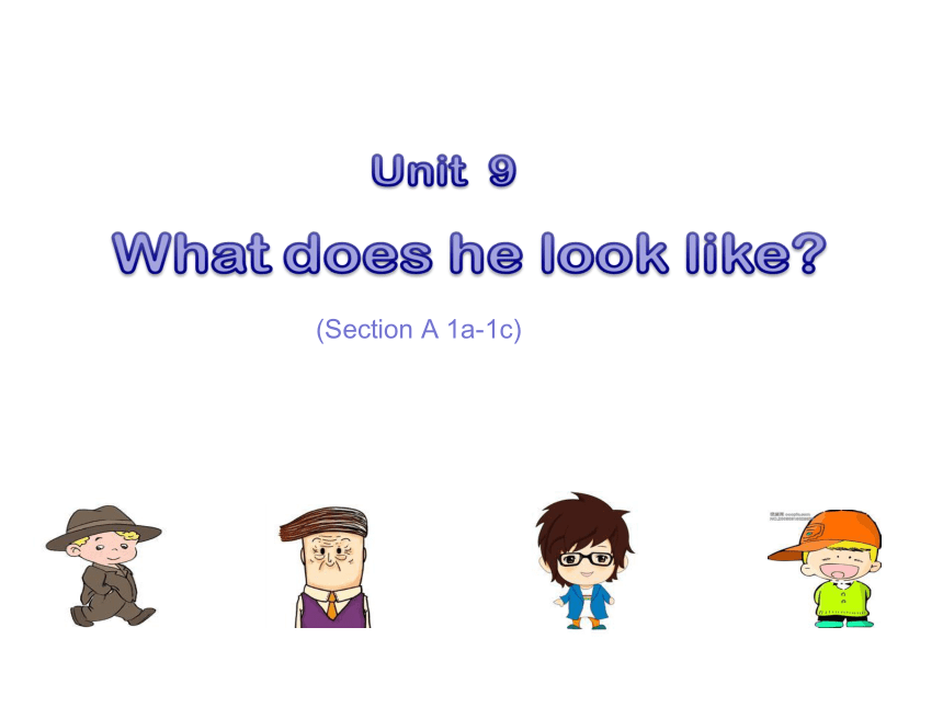 Unit 9 What does he look like? section A1a~1c课件(共19张PPT)-2023-2024学年人教版英语七年级下册