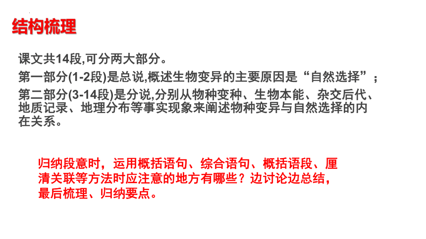 13.1《自然选择的证明》课件（共37张PPT） 统编版高中语文选择性必修下册