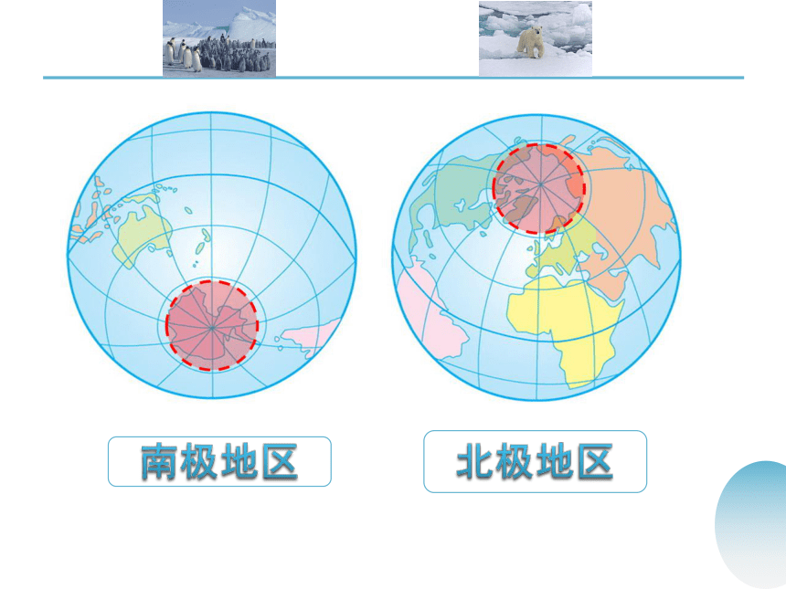 中图版八年级下册地理 6.5极地地区 课件（共66张PPT）