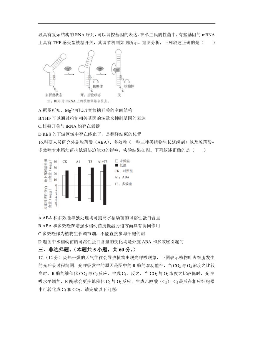 湖南省长沙市第一中学2024届高三下学期模拟卷（三）生物试题 （含解析）