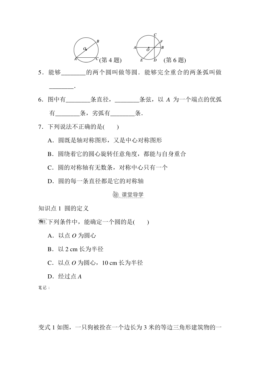 28.1   圆的概念及性质  预学检验+课堂导学（同步练习）2023-2024学年冀教版数学九年级上册（含答案）