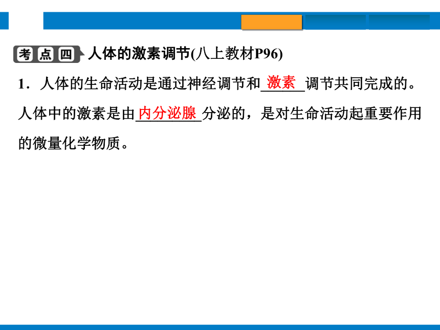 2024浙江省中考科学复习第8讲　生命活动的调节（课件 39张PPT）