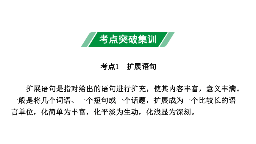 2024年四川中考语文二轮复习 扩展语句，压缩语段考点突破集训 课件(共29张PPT)