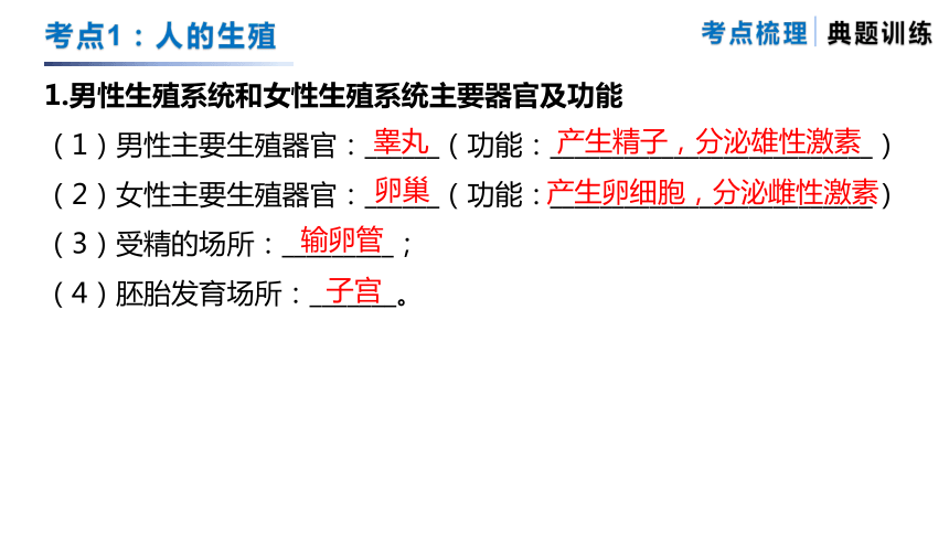 专题08 生物的有性生殖（复习课件）-备战2024年中考生物一轮复习专题精练（苏科版）(共27张PPT)