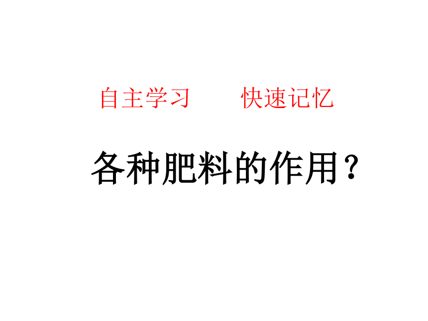 鲁教版九年级下册化学  11.3化学与农业生产 课件(43张PPT)