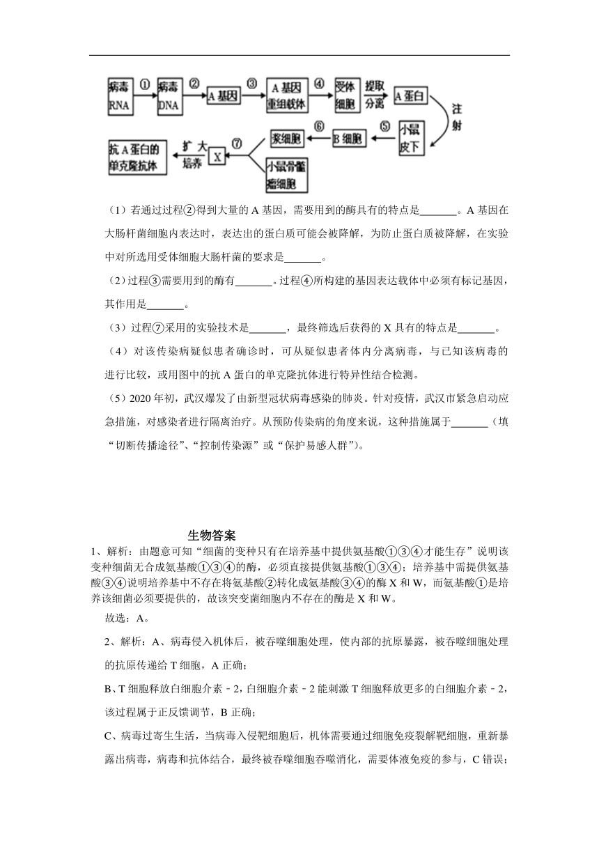 河南省三门峡市外国语高级中学2020届高三模拟（四）考试生物试卷