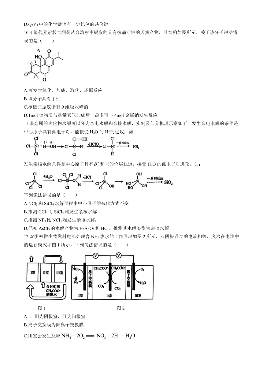 湖北省武昌区2024届高三下学期5月质量检测（二模）化学试题（含答案）