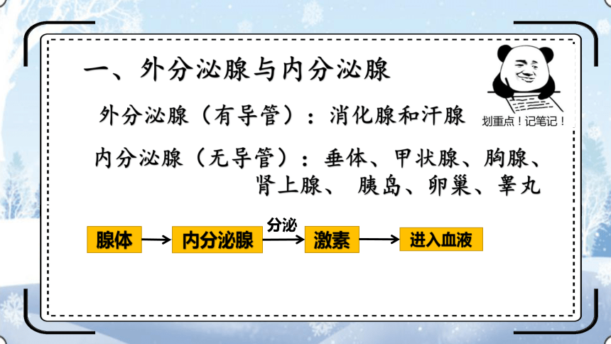 4.12.1激素调节课件(共30张PPT)2023--2024学年苏教版生物七年级下册