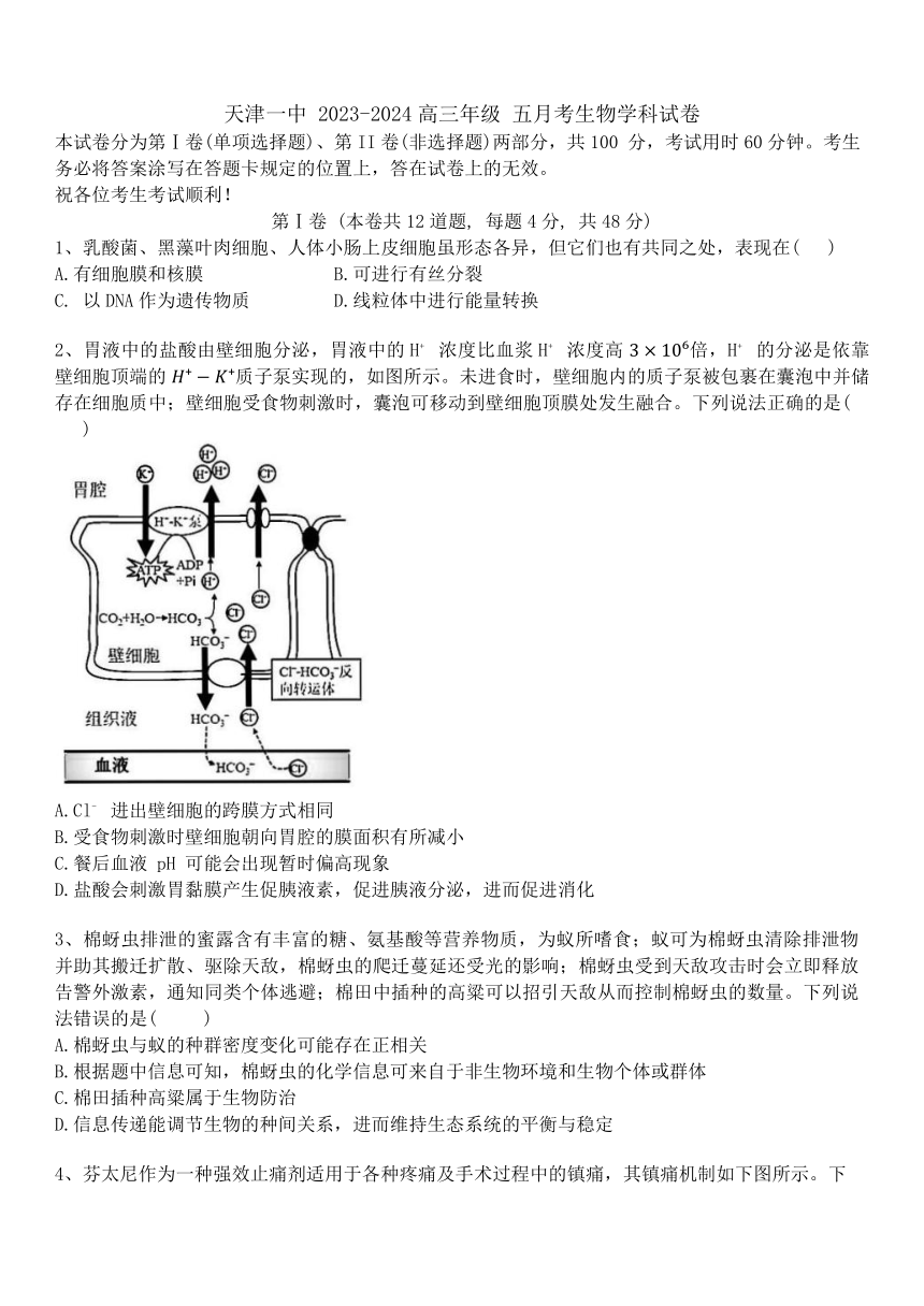 天津市第一中学2023-2024学年高三下学期5月月考生物学试卷（含答案）