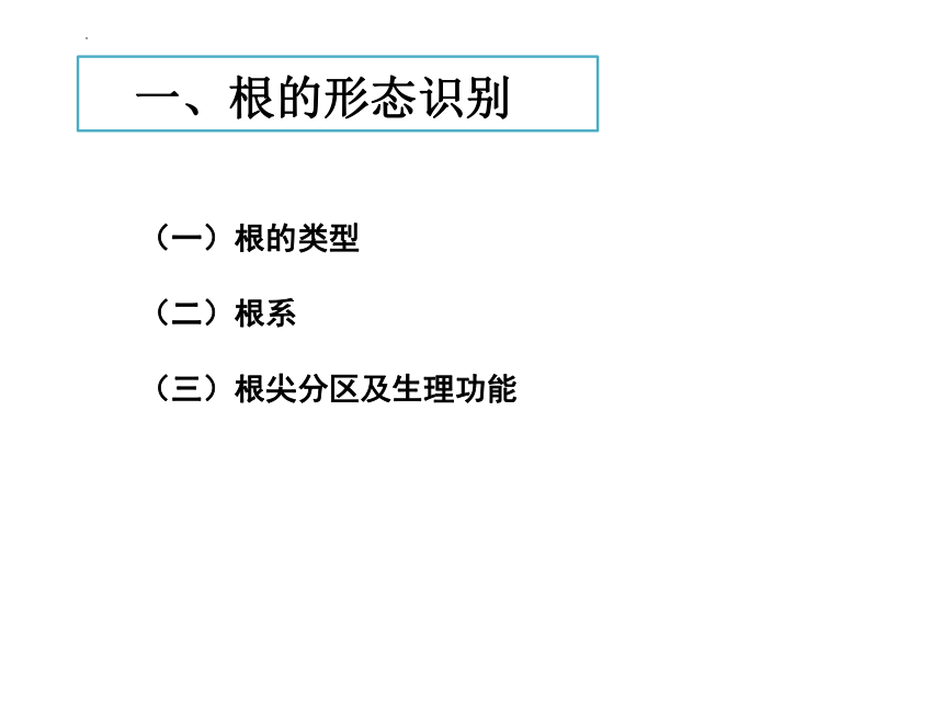 2.1植物的营养器官根 课件(共64张PPT)《种植基础》同步教学（中国农业出版社）