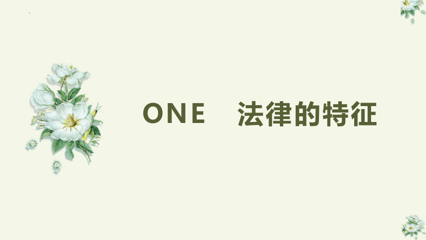 9.2 法律保障生活 课件(共30张PPT)-2023-2024学年统编版道德与法治七年级下册