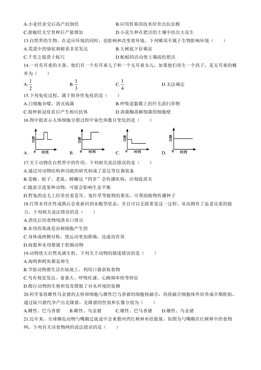 2024年海南省海口市中考一模考试生物试题（含答案）