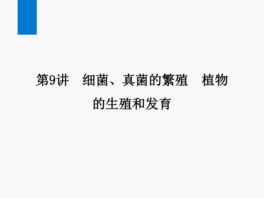 2024浙江省中考科学复习第9讲　细菌、真菌的繁殖　植物的生殖和发育（课件 39张PPT）