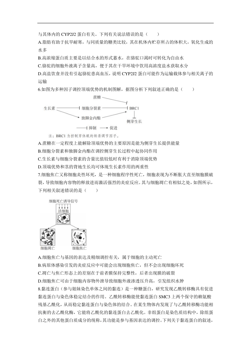 湖南省长沙市第一中学2024届高三下学期模拟卷（三）生物试题 （含解析）