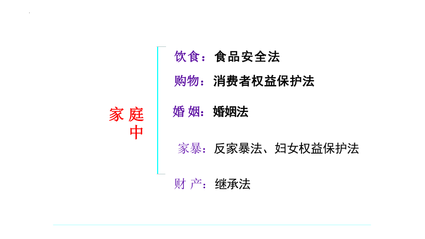 9.1 生活需要法律 课件(共22张PPT)-2023-2024学年统编版道德与法治七年级下册