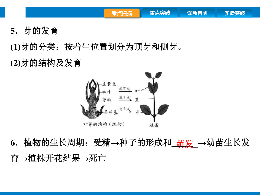 2024浙江省中考科学复习第9讲　细菌、真菌的繁殖　植物的生殖和发育（课件 39张PPT）