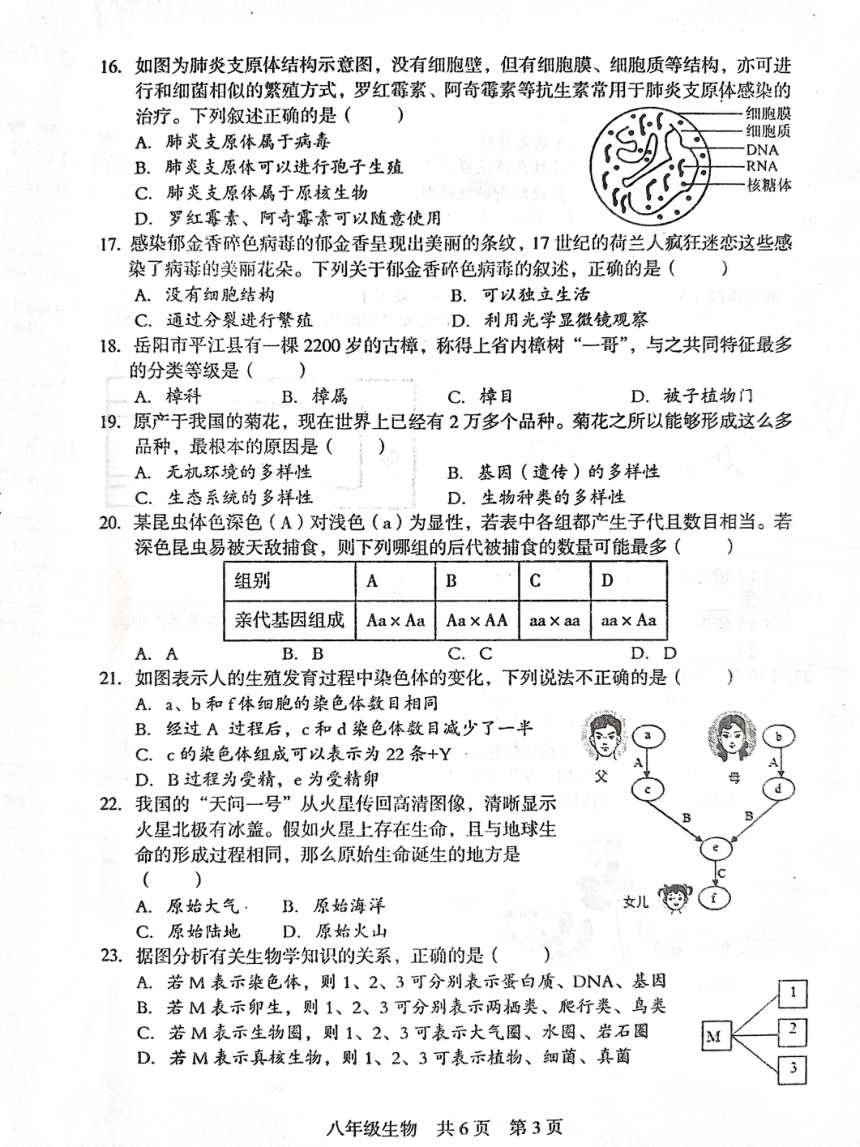 2024年湖南省娄底市中考三模地理生物试题（图片版 无答案）