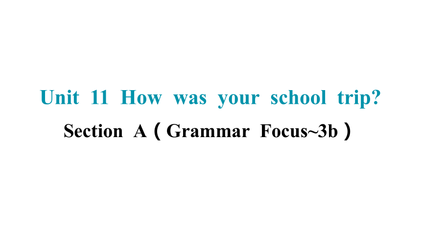 Unit 11 How was your school trip? Section A（Grammar Focus~3b） 课件-(共21张PPT) 2023-2024学年人教版英语七年级下册