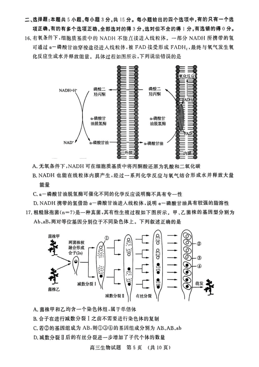 山东省济南市名校考试联盟2024届高三下学期二模试题 生物 （PDF版含答案）