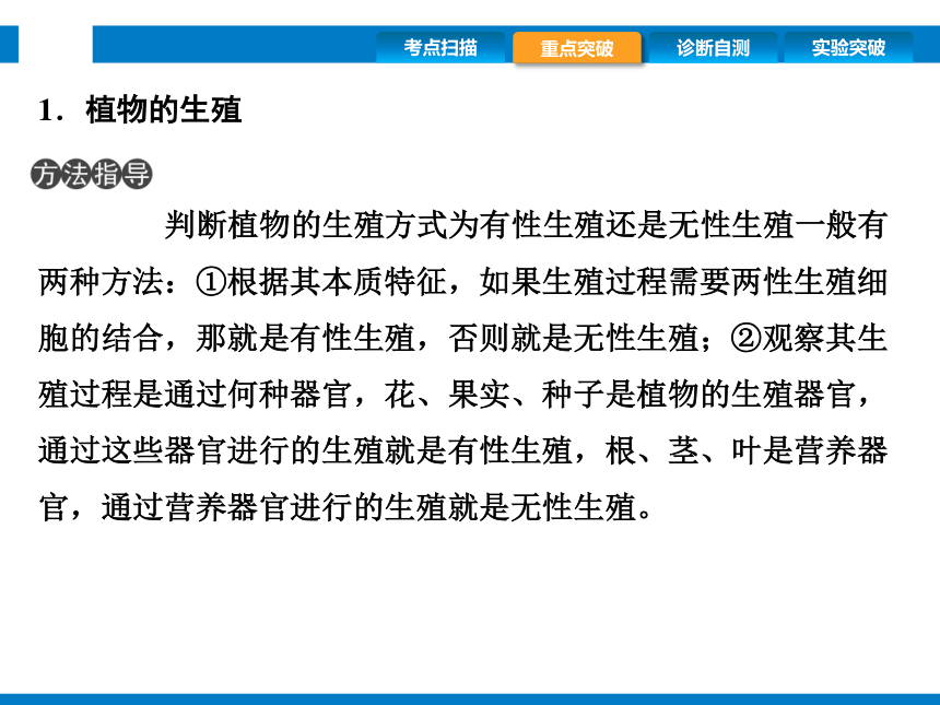 2024浙江省中考科学复习第9讲　细菌、真菌的繁殖　植物的生殖和发育（课件 39张PPT）