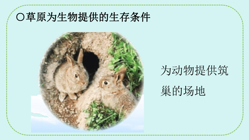 青岛版（六三制2017秋）五年级下册科学  5.19生物的栖息地 课件(共22张PPT)
