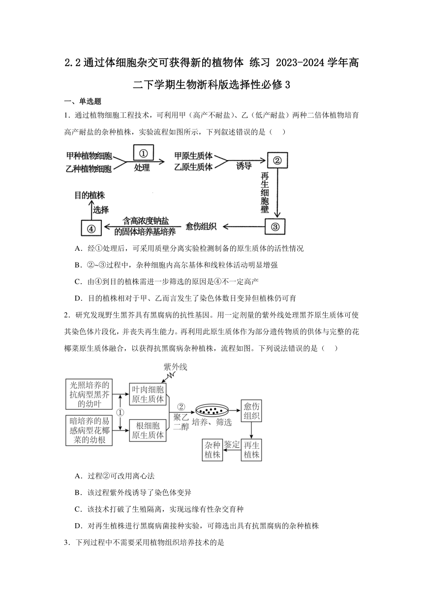 2.2通过体细胞杂交可获得新的植物体 练习（含解析）2023-2024学年高二下学期生物浙科版选择性必修3