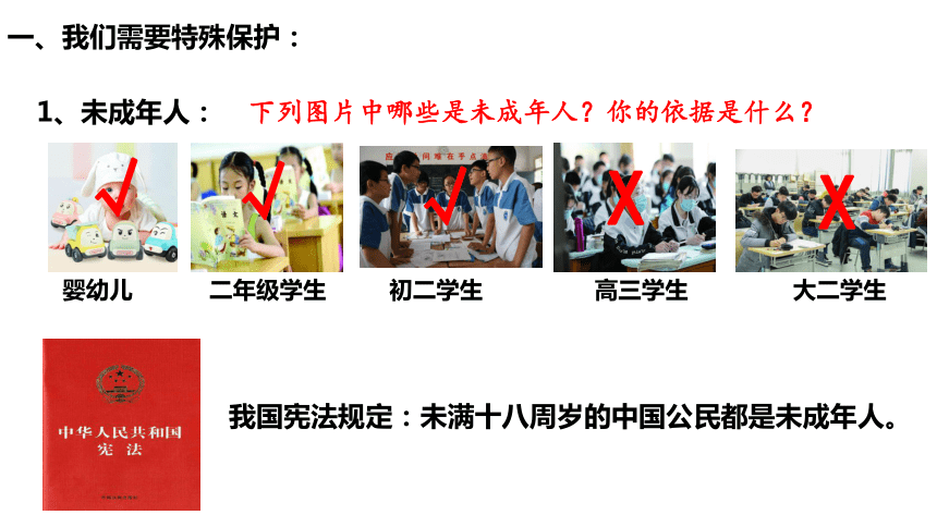 10.1 法律为我们护航 课件(共25张PPT)-2023-2024学年统编版道德与法治七年级下册