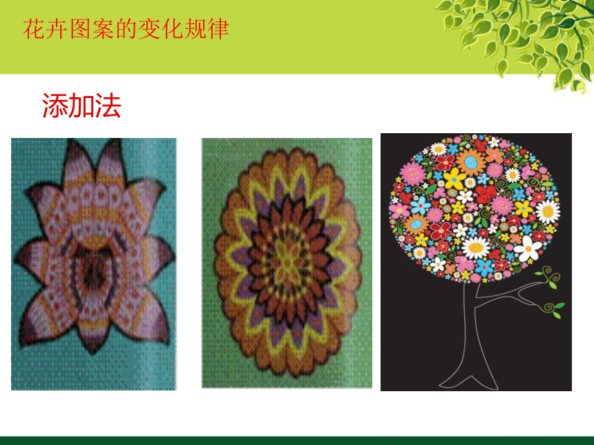 冀教版七年级下册 3.花卉装饰画 课件（28张幻灯片）