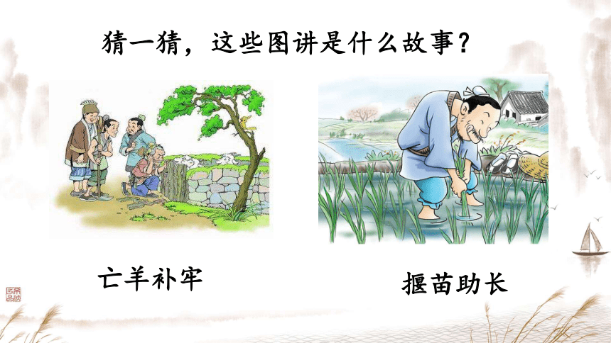 5.《守株待兔》课件(共21张PPT)