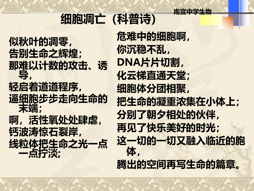 人教版必修一6．3和6．4细胞的衰老、凋亡与癌变（共53张PPT）