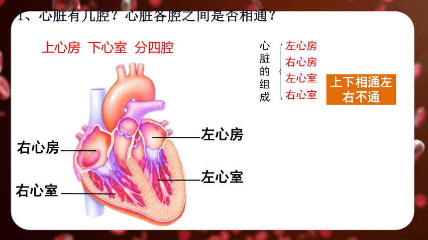 4.4.3 第三节 输送血液的泵──心脏课件(共46张PPT＋内嵌视频3个)人教版七年级下册