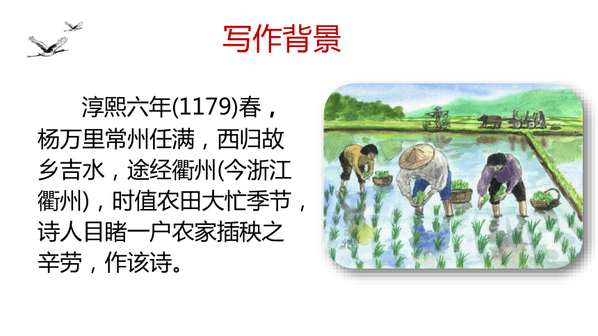 统编版高中语文必修上册第二单元6.2《插秧歌》课件(共30张PPT)