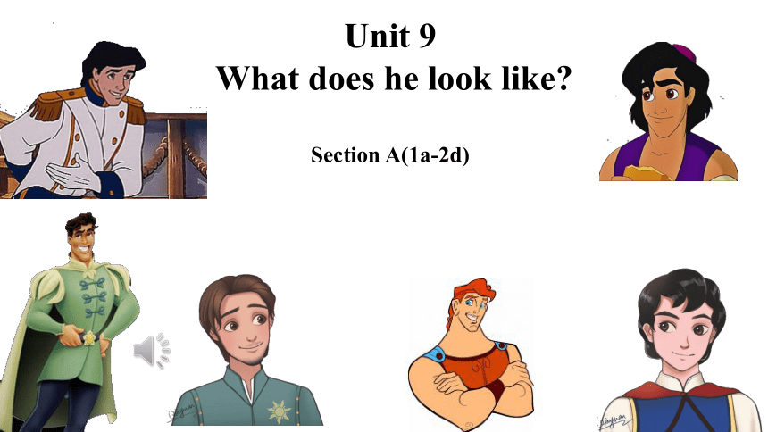 Unit 9 What does he look like_ Section A （1a-2d）课件(共19张PPT) 2023-2024学年人教版七年级英语下册