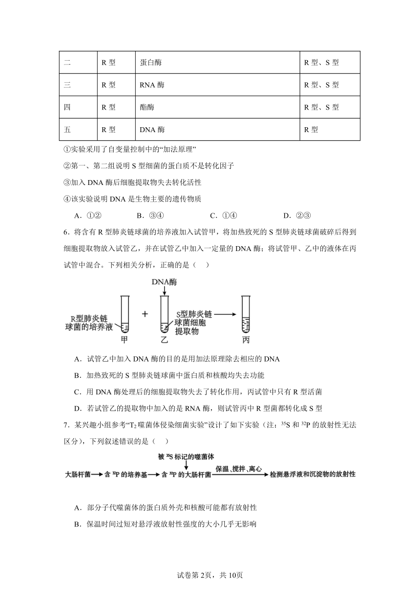 3.1DNA是主要的遗传物质同步练习（含解析）2023——2024学年高生物人教版（2019）必修2遗传与进化