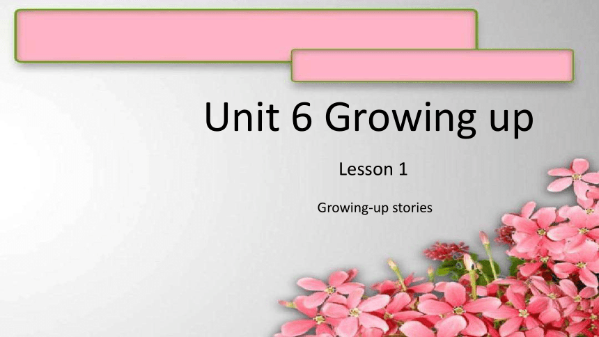 Unit 6 Growing Up Lesson 1  课件 (共43张PPT)