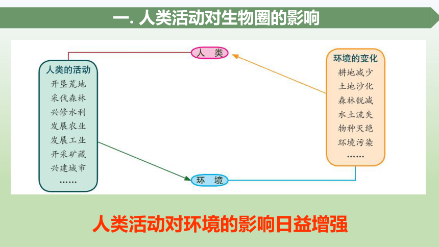 北师大版七年级下册生物14.1 人类活动对生物圈的影响课件(共22张PPT)