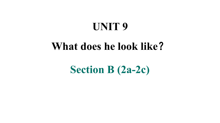 Unit 9 What does he look like? Section B 2a-2c 课件 (共26张PPT)2023-2024学年人教版英语七年级下册