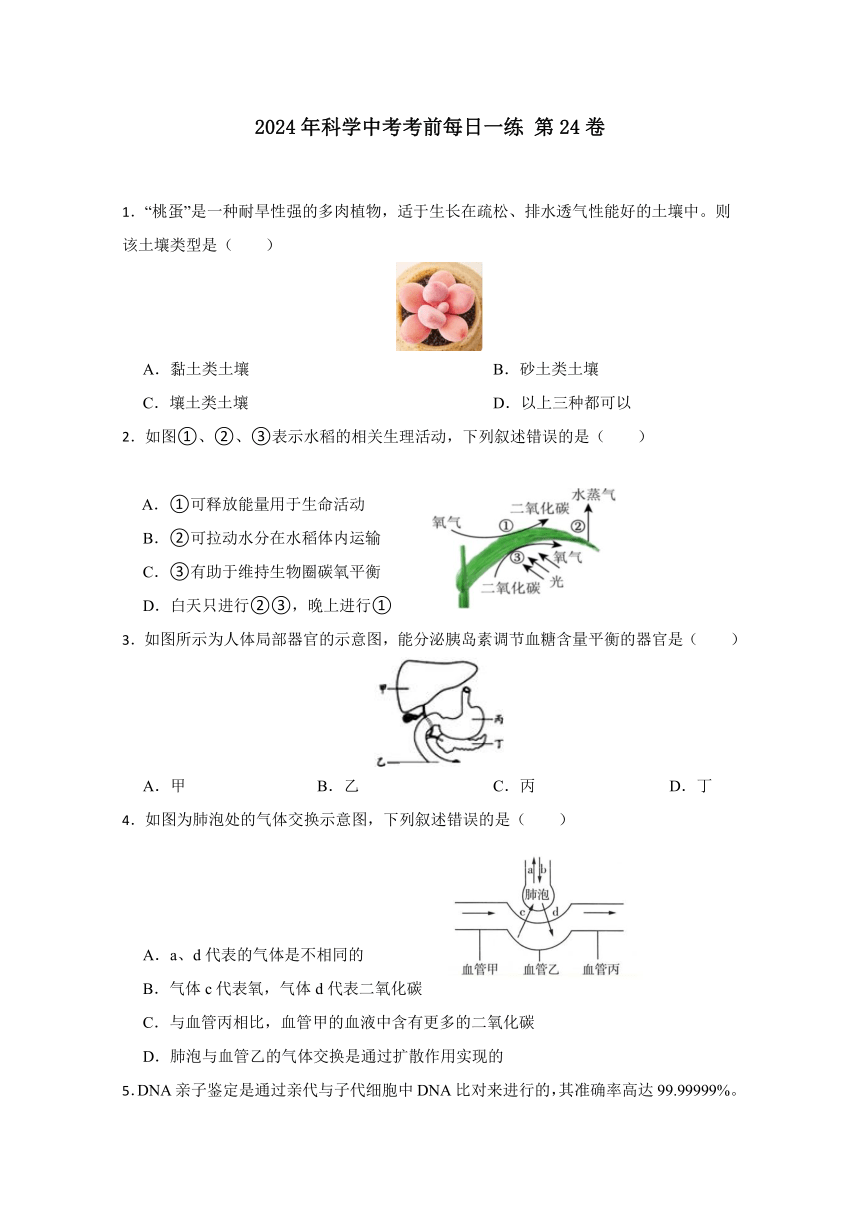 2024年浙江省科学中考考前每日一练 第24卷（含解析）