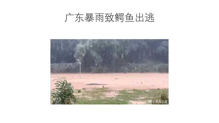 防汛”于未然，安全记心间——初中暴雨汛期安全主题班会课件(共24张PPT)