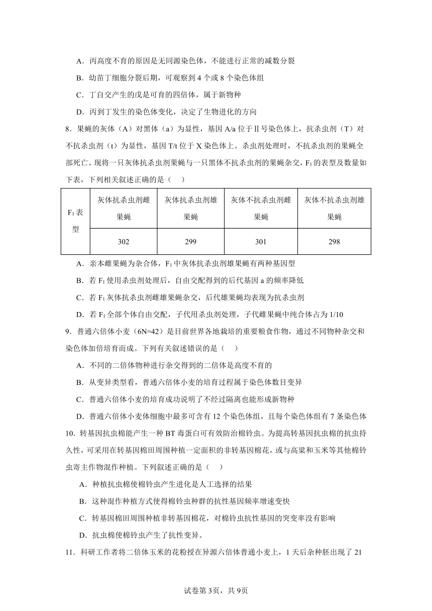 第6章生物的进化综合复习训练（含解析）2023——2024学年高生物人教版（2019）必修2遗传与进化