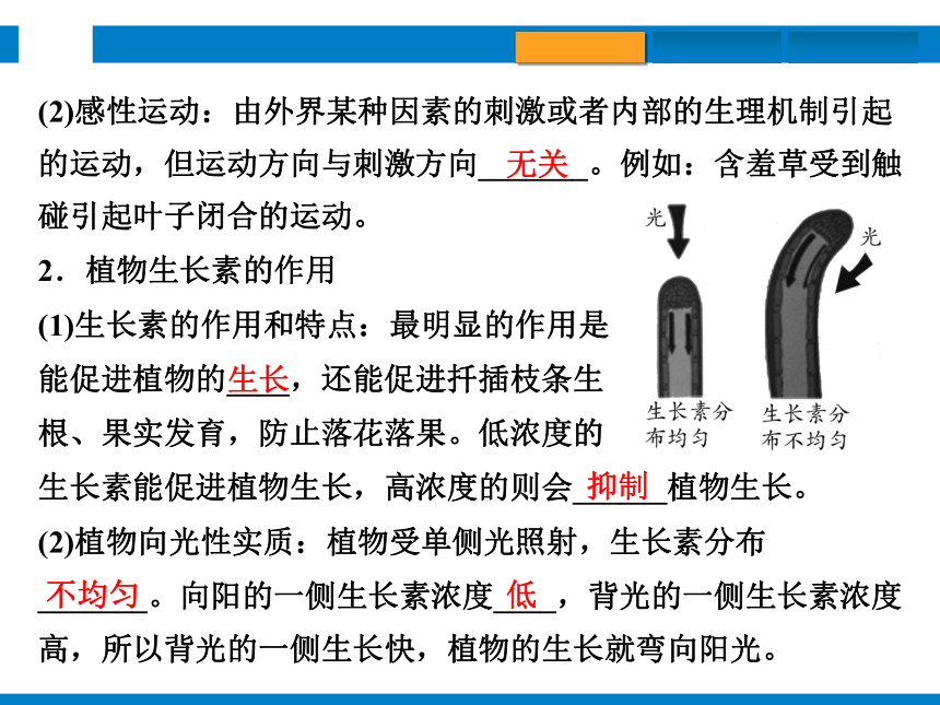 2024浙江省中考科学复习第8讲　生命活动的调节（课件 39张PPT）