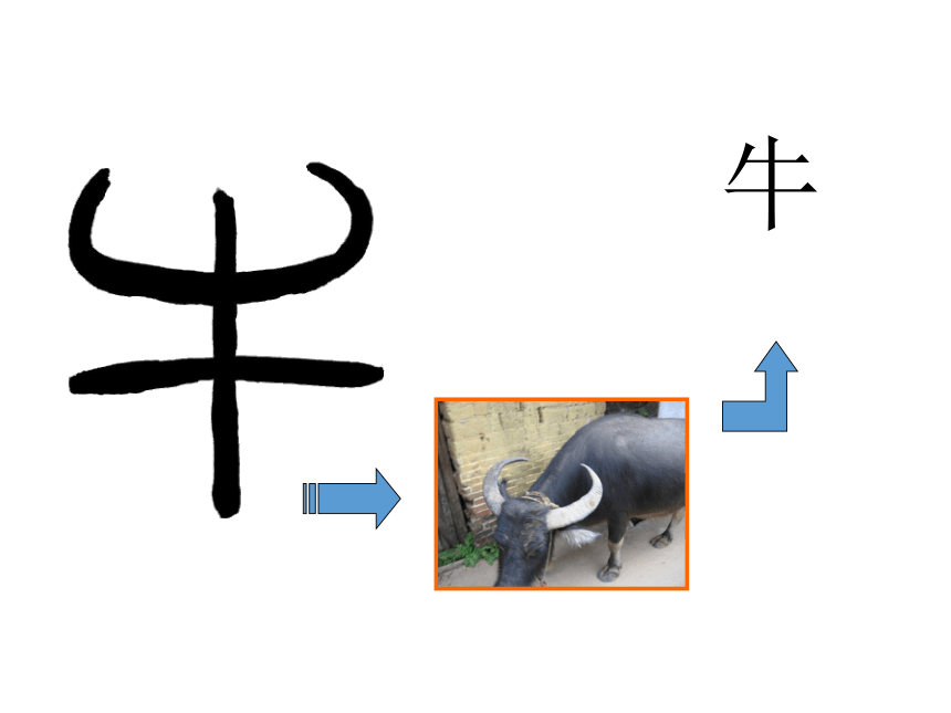 冀美版八年级下册 2.汉字的艺术魅力 课件（34张幻灯片）