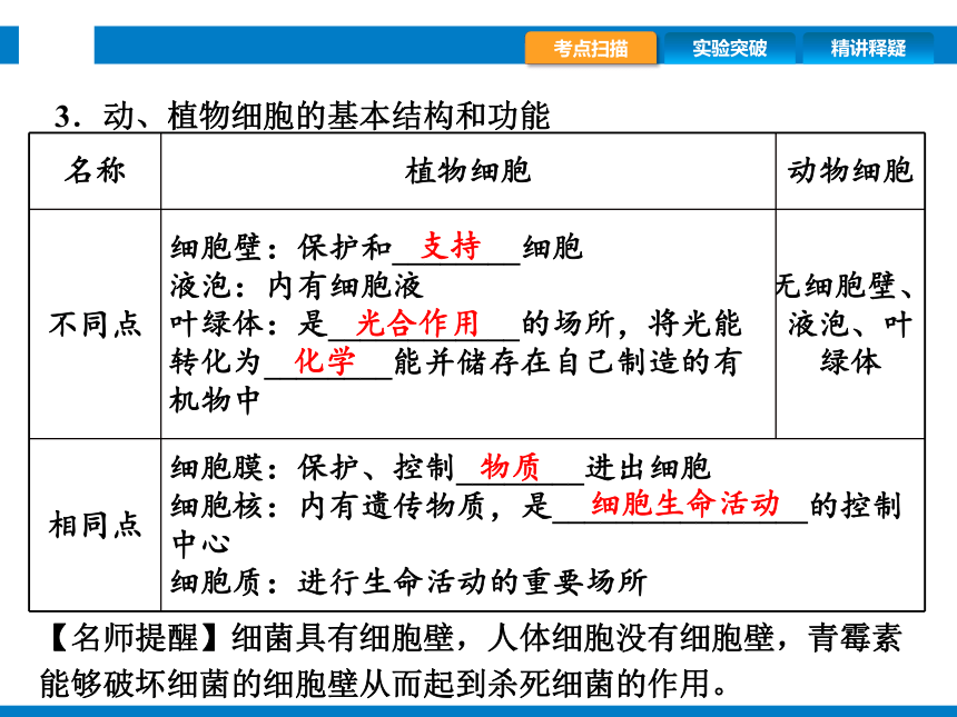 2024浙江省中考科学总复习第2讲　生物的结构与层次（课件 39张PPT）