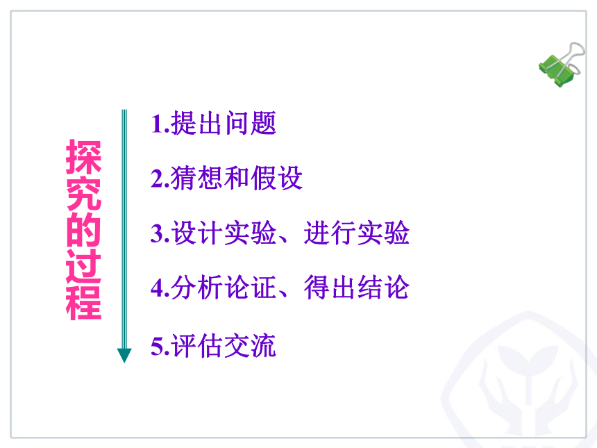 鲁教(五四学制)物理八年级上册3.3平面镜成像(共27张PPT)